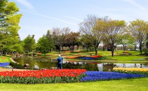 Showa Kinen Park Lake Garden